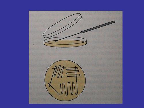 貴陽生物技術服務公司