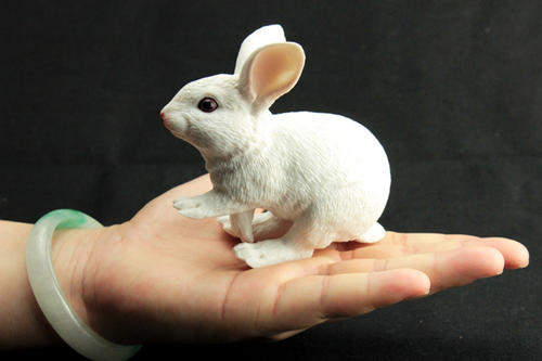 貴陽原代細胞培養中心